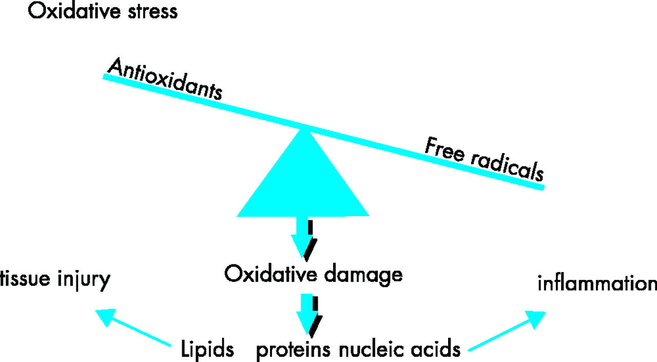 Is Oxidative Stress A Leading Cause To All Chronic Diseases